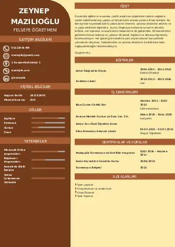 cv indir